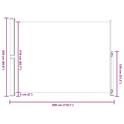 Patio Retractable Side Awning 220x300 cm Grey