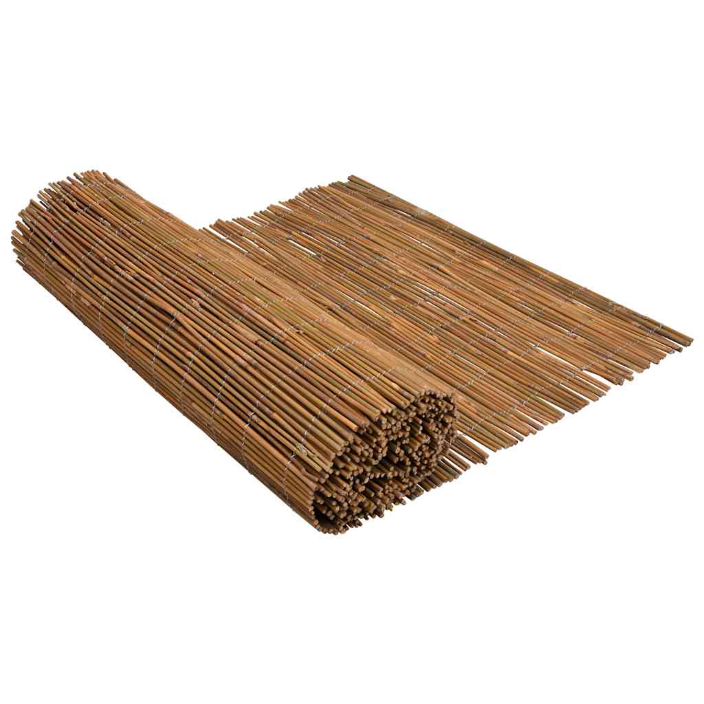 Bamboo Fence 500x100 cm