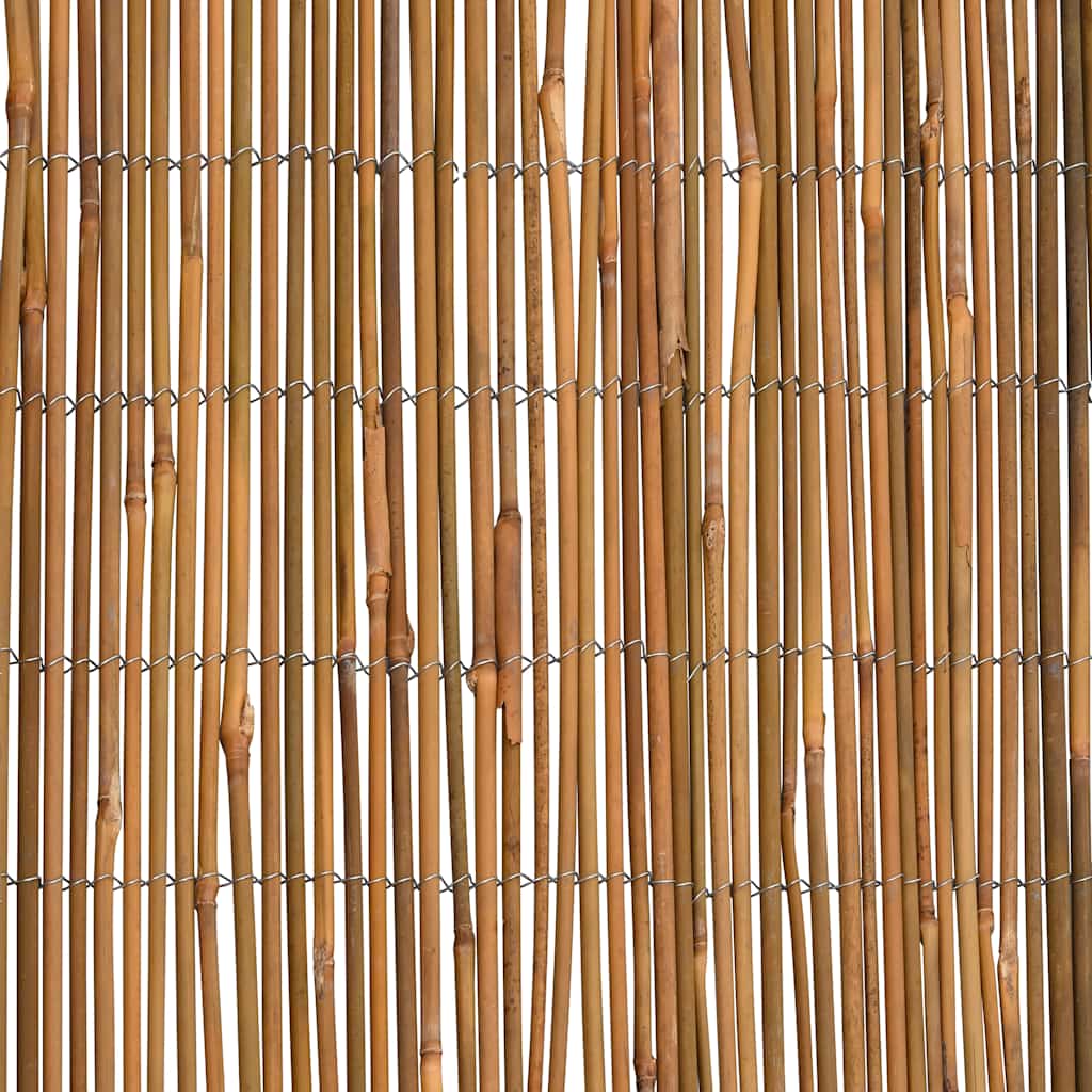 Bamboo Fence 500x100 cm