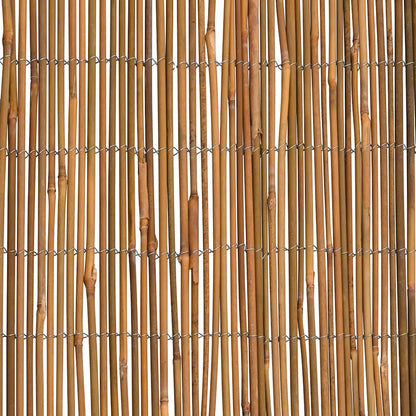 Bamboo Fence 500x100 cm