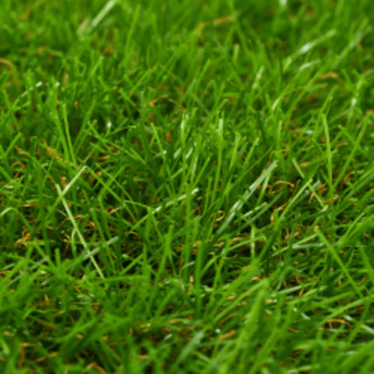 Artificial Grass 3.3'x49.2'/1.6" Green
