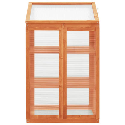 Greenhouse 23.6"x17.7"x39.4" Firwood