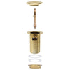 Push Drain with Overflow Function Gold 6.4x6.4x9.1 cm