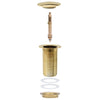 Push Drain without Overflow Function Gold 6.4x6.4x9.1 cm