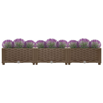 Raised Bed 120x40x23 cm Polypropylene