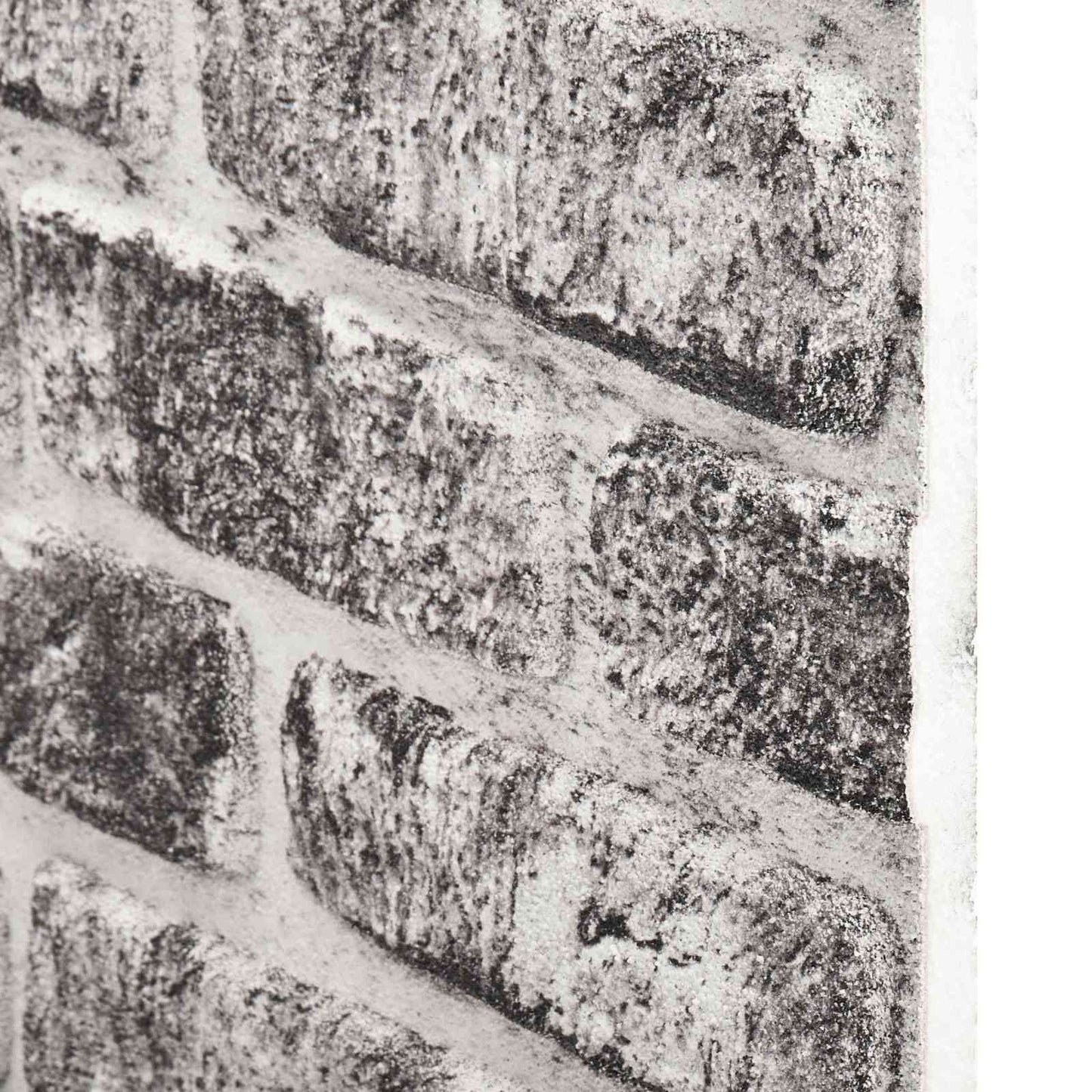 Wall Panels 10 pcs Dark Grey and White 100 x 50 cm EPS Foam