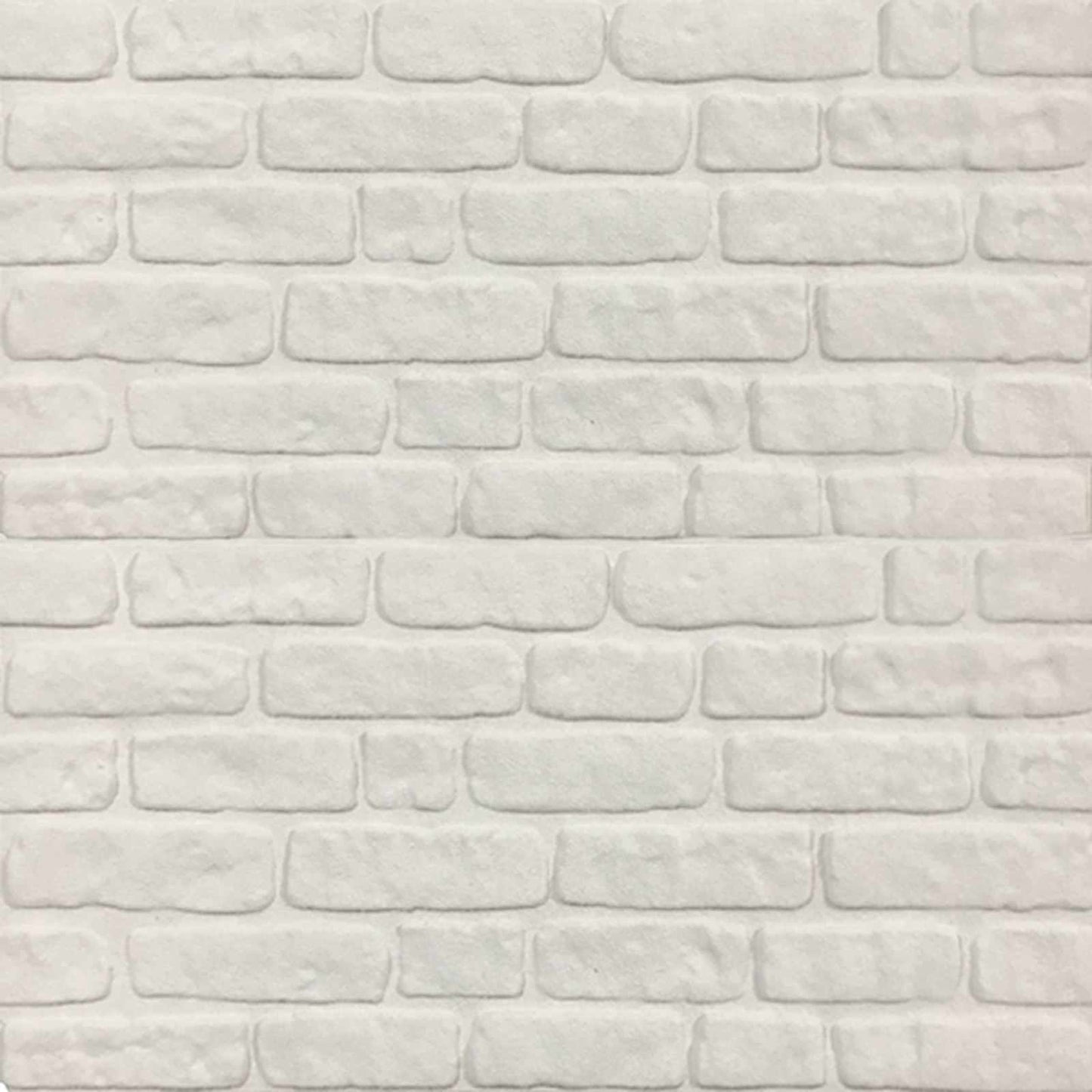 Wall Panels 10 pcs White 100 x 50 cm EPS Foam