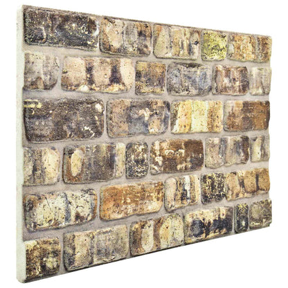 Wall Panels 10 pcs Multicolour 100 x 50 cm EPS Foam