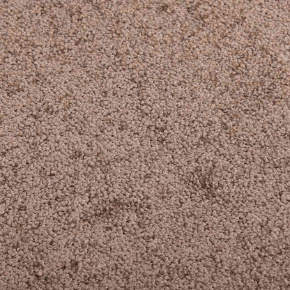 Doormat  Brown 40x60 cm
