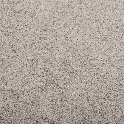 Doormat  Grey 40x60 cm