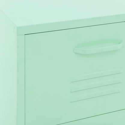 Storage Cabinet | Mint | Steel | Medium | Storage Cabinet | Rectangular