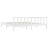 810103 vidaXL Bed Frame without Mattress White Solid Wood 200x200 cm