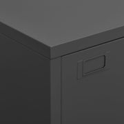 Industrial Storage Chest Anthracite 75x40x115 cm Metal