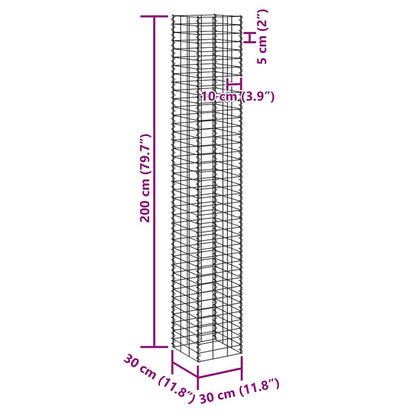 Gabion Raised Beds 3 pcs 30x30x200 cm Iron