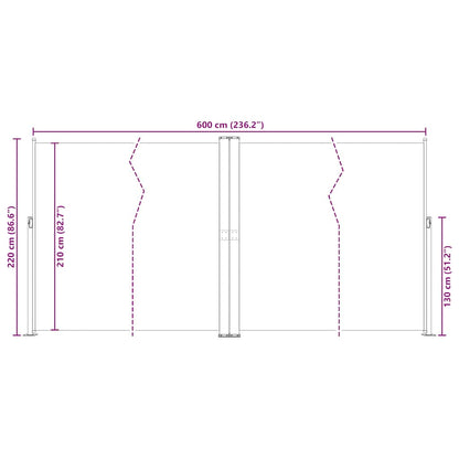 Retractable Side Awning Red 220x600 cm