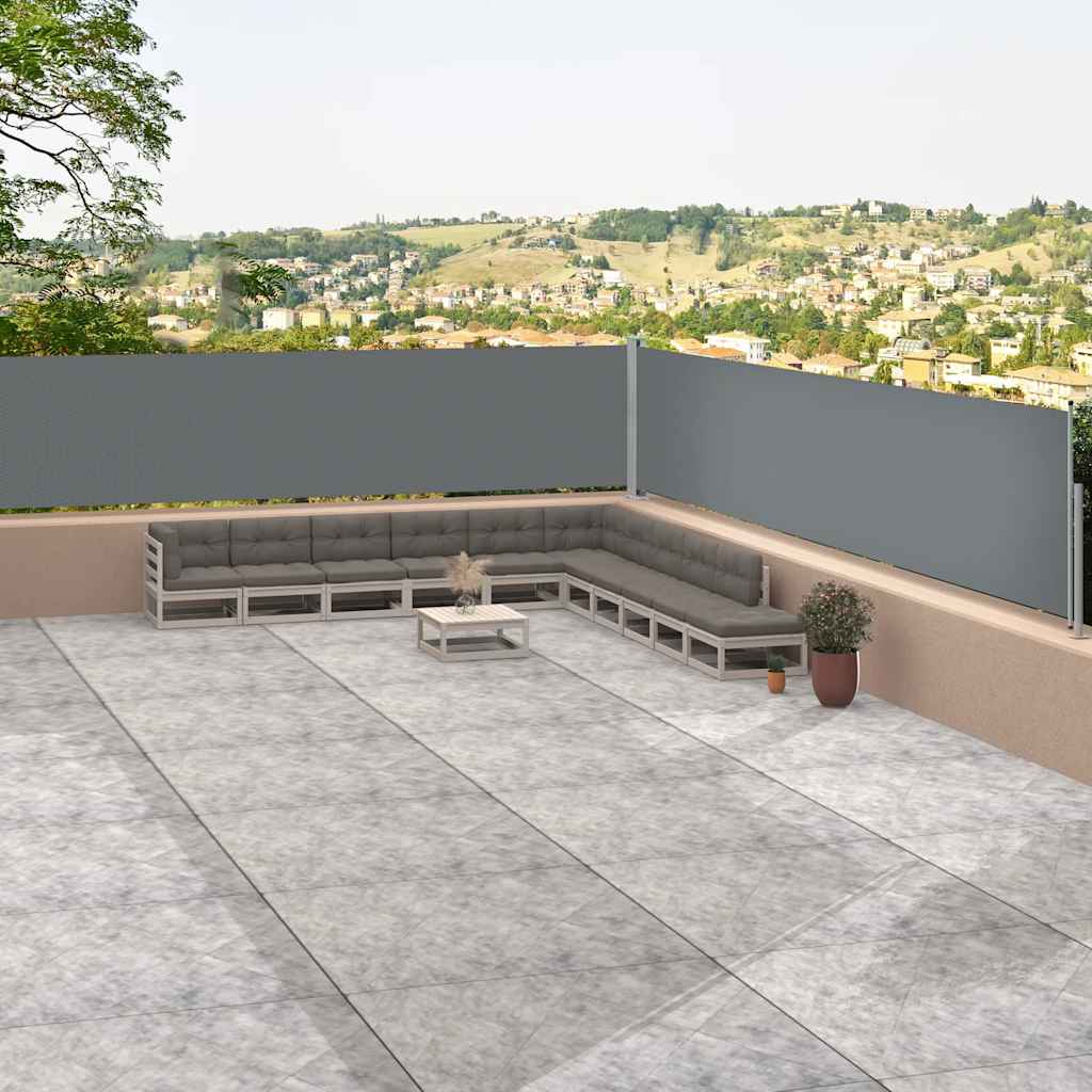Retractable Side Awning Anthracite 46.1"x472.4"