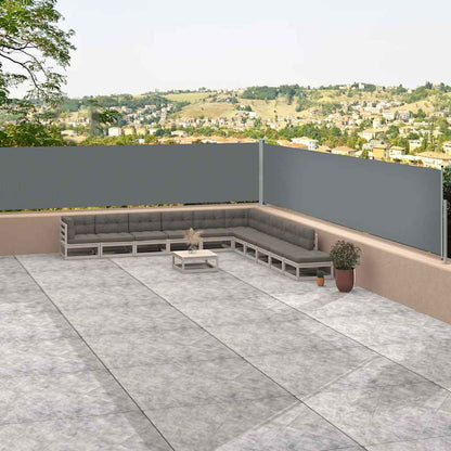 Retractable Side Awning Anthracite 46.1"x472.4"
