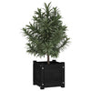 Garden Planter Black 31x31x31 cm Solid Pinewood