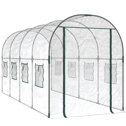 Greenhouse | Transparent | PVC and Powder-coated Steel | Large