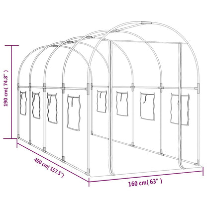 Greenhouse | Transparent | PVC and Powder-coated Steel | Large