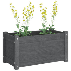 Garden Planter Grey 60x31x31 cm Solid Pinewood