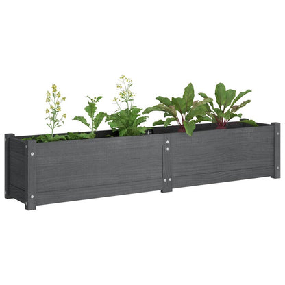 Garden Raised Beds 2 pcs Gray 59.1"x12.2"x12.2" Solid Wood Pine