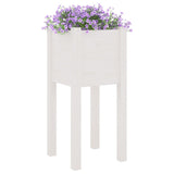 Garden Planter White 31x31x70 cm Solid Pinewood