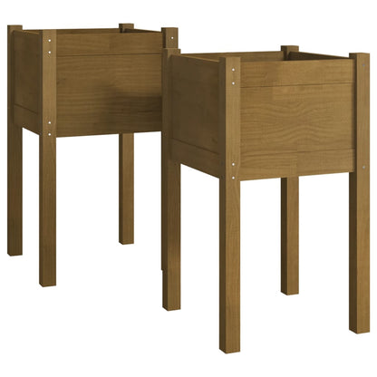 Garden Planter Set of 2 Honey brown Solid pinewood Medium