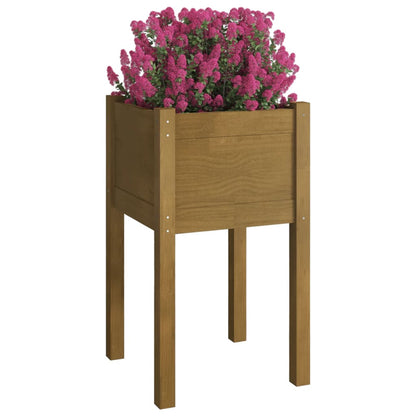 Garden Planter Set of 2 Honey brown Solid pinewood Medium