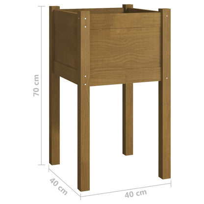 Garden Planter Set of 2 Honey brown Solid pinewood Medium