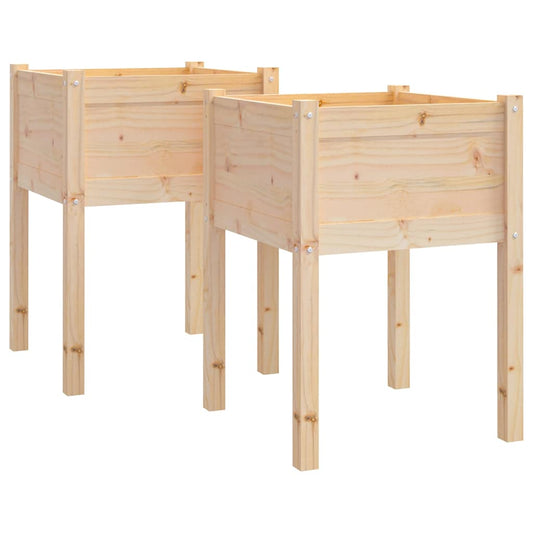 Planter | Set of 2 | Natural wood | Solid pinewood | Medium | Planter