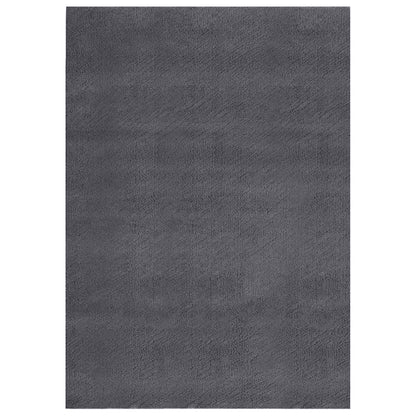Washable Rug Soft Shaggy 160x230 cm Anti Slip Anthracite