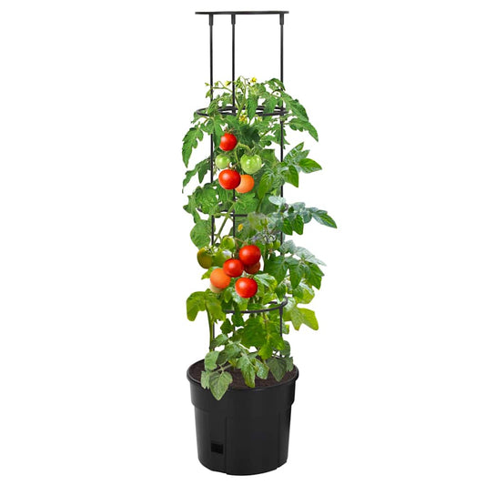 Tomato Grower | Anthracite | Polypropylene | Tall