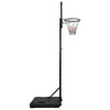 Basketball Stand Transparent 235-305 cm Polycarbonate