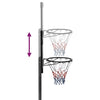 Basketball Stand Transparent 235-305 cm Polycarbonate