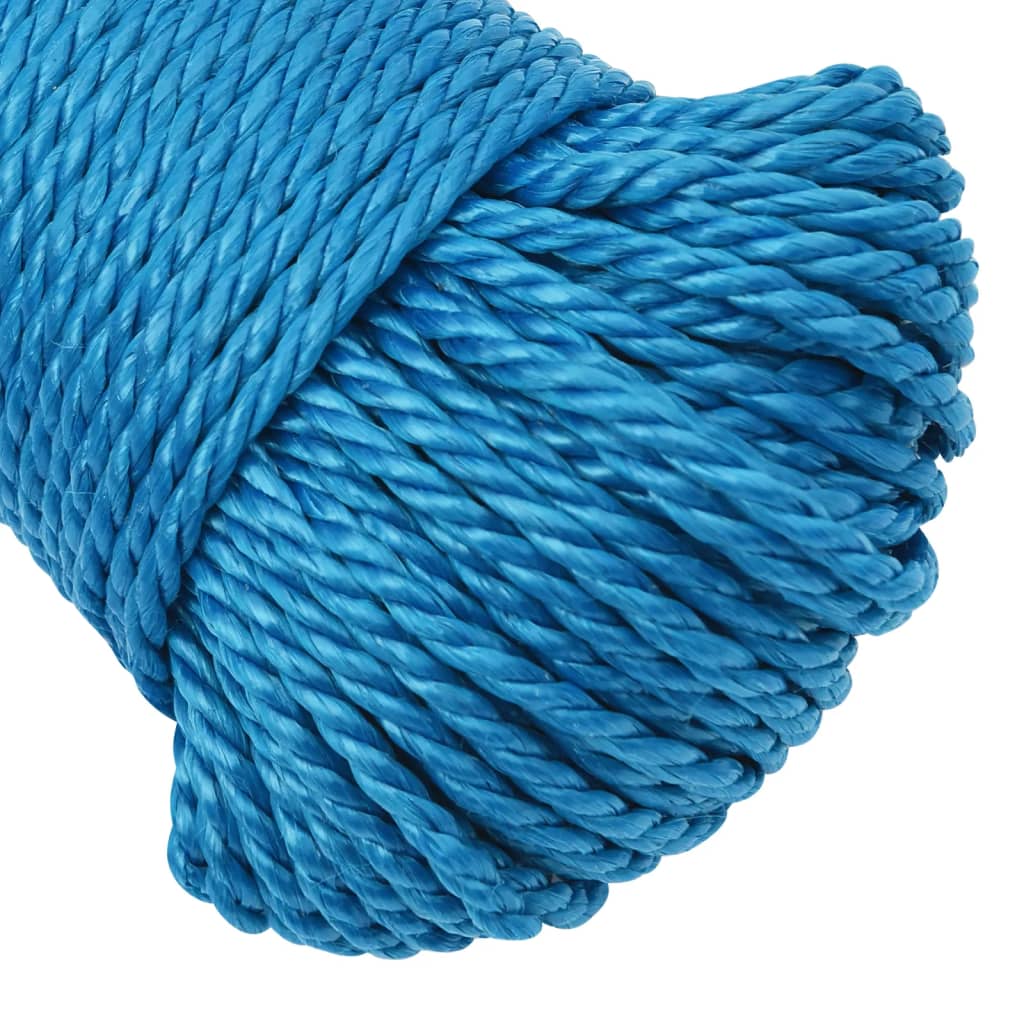 Work Rope Blue 6 mm 100 m Polypropylene