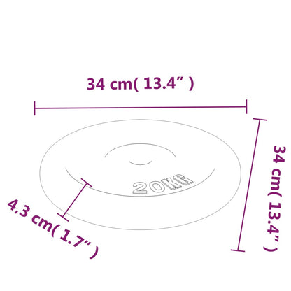 Weight Plate 20 kg Cast Iron