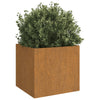 Planters 2 pcs 32x30x29 cm Corten Steel