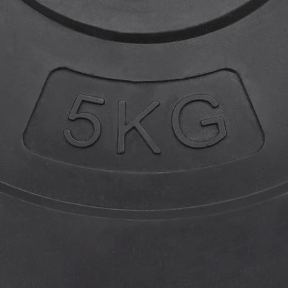 Weight Plates 4 pcs 30 kg Cement