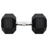 Dumbbell 22.5 kg Cast Iron