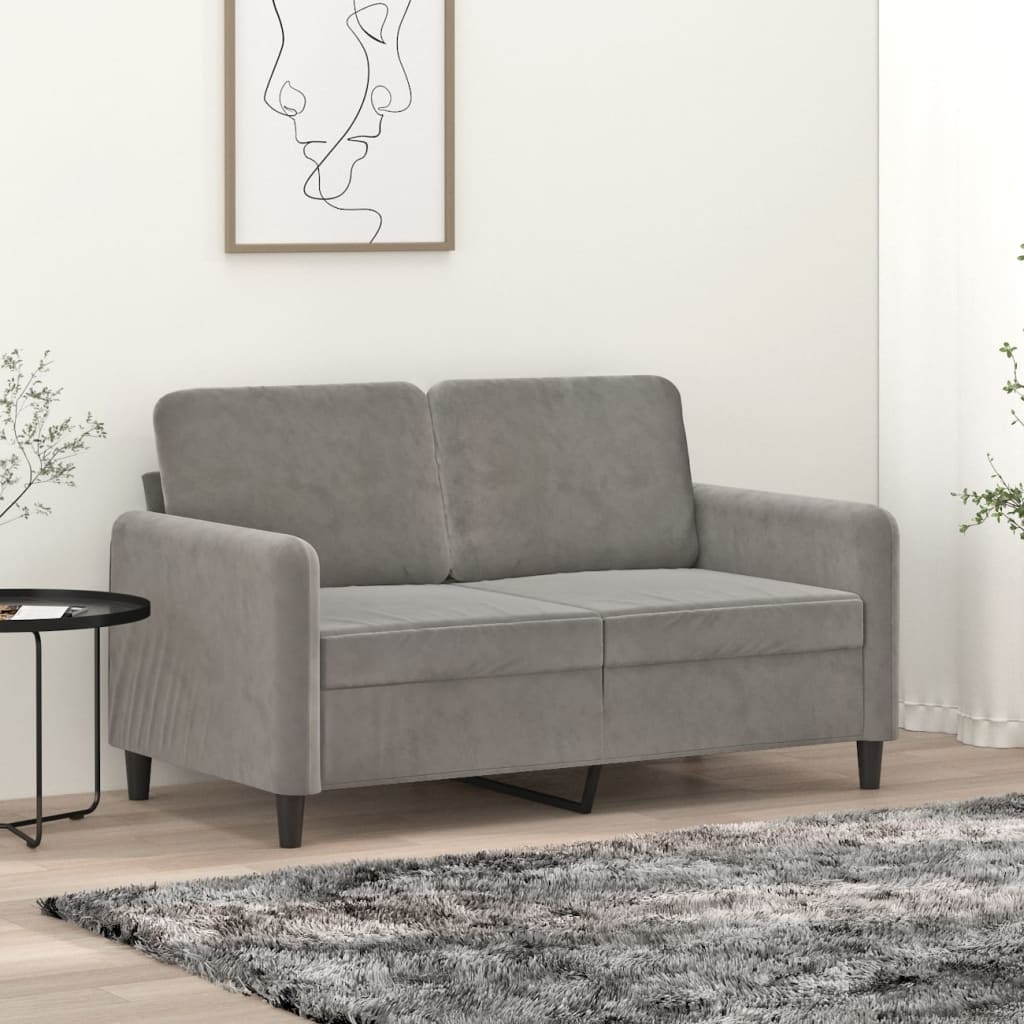 2-seater Sofa Light grey Velvet (100% polyester), metal, plywood