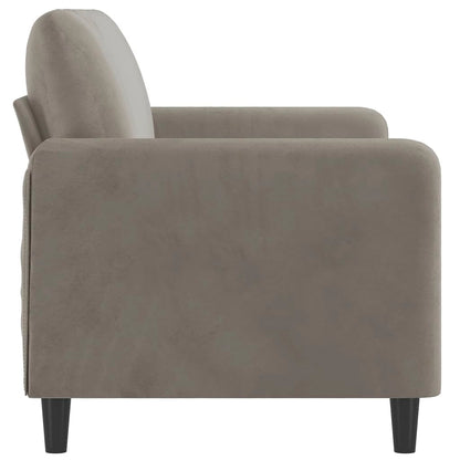 2-seater Sofa Light Gray Velvet (100% polyester), Metal, Plywood