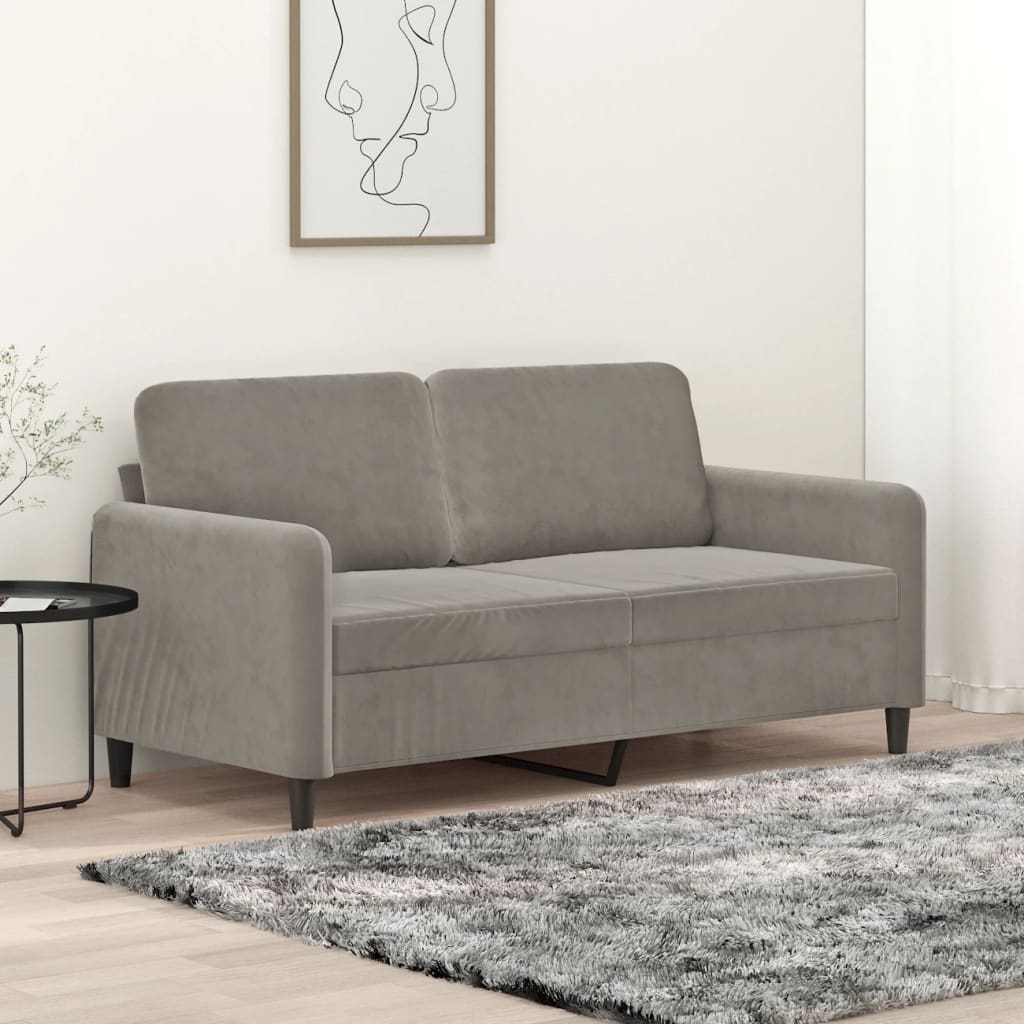 2-seater Sofa Light Gray Velvet (100% polyester), Metal, Plywood