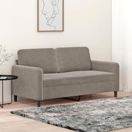 2-seater Sofa Light Gray Velvet (100% polyester), Metal, Plywood