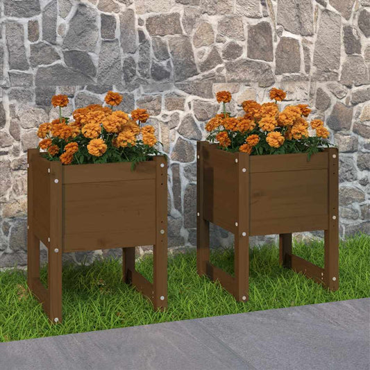 Planters 2 pcs Honey Brown 40x40x52.5 cm Solid Wood Pine