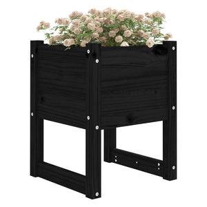 Planters 2 pcs Black 40x40x52.5 cm Solid Wood Pine