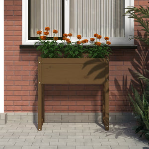 Planter Honey Brown 78x40x81 cm Solid Wood Pine