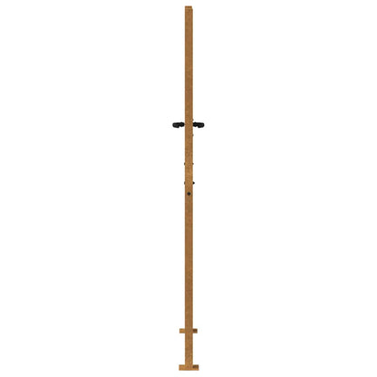 Garden Gate 100x175 cm Corten Steel