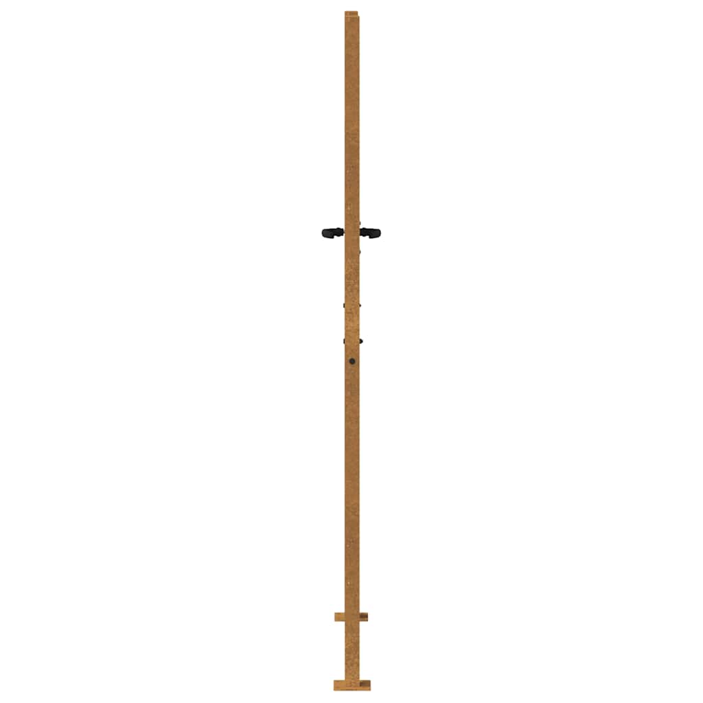 Garden Gate 100x200 cm Corten Steel
