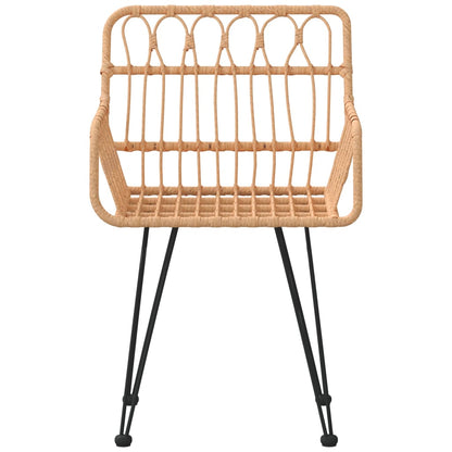Garden Chair | Set of 2 | Brown | Steel, Polyethylene Rattan | Medium